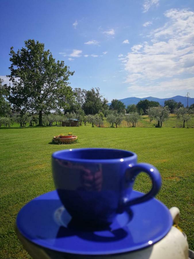 B&B La Fornace Del Sole Capannori Εξωτερικό φωτογραφία