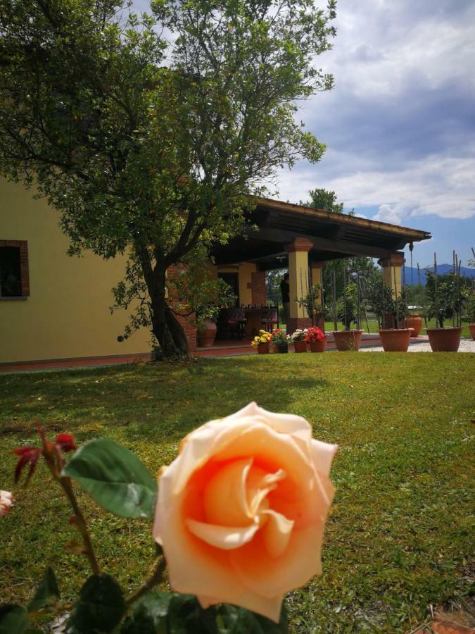 B&B La Fornace Del Sole Capannori Εξωτερικό φωτογραφία